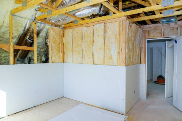 Best Eco-Friendly Insulation in Melbourne, FL