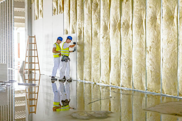 Best Geographic-Specific Insulation Services in Melbourne, FL